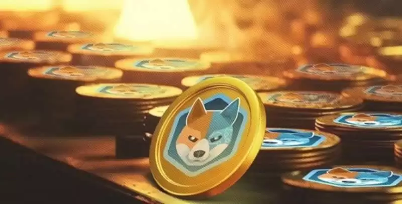 AIDOGE币怎么转换USDT？交易所转换USDT小白操作教程