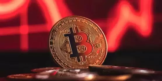 多名巨鲸出场砸盘！Capriole Investments：比特币本轮牛市可能已触顶