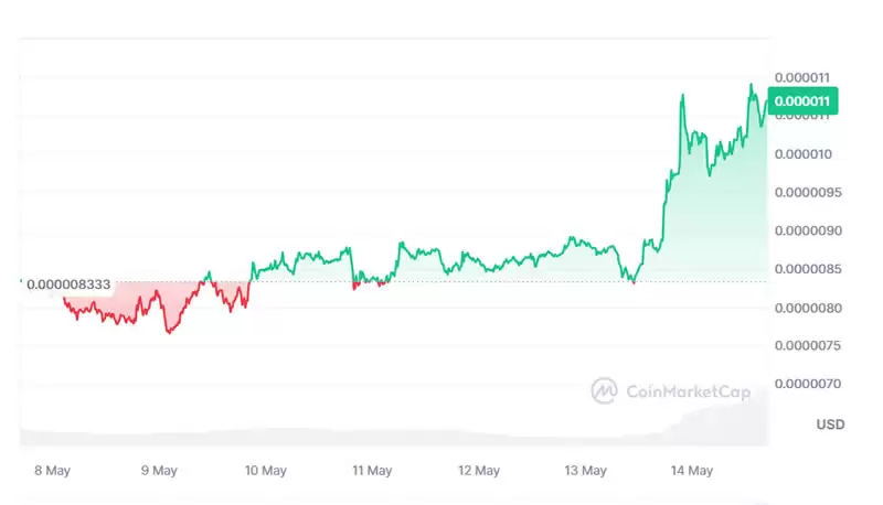 Pepe币价格预测(2025-2050):Pepe是下一个大型Memecoin投资吗?