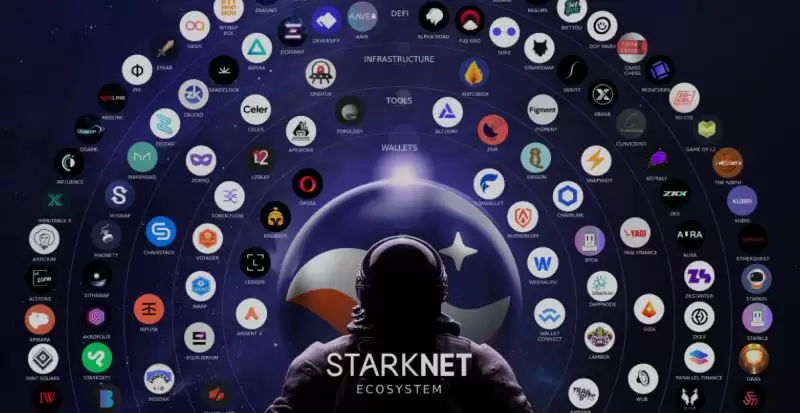 Starknet空投怎么样?Starknet的空投到底成不成功？