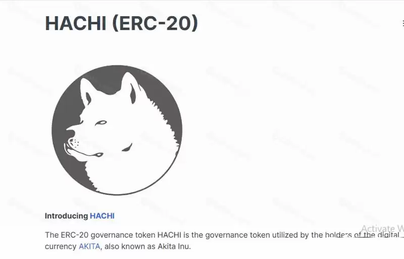 什么是秋田犬币(AKITA)?