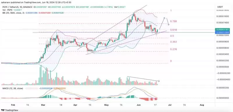 Pepe技术指标分析图