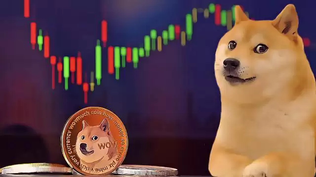 DOGE币值得投资吗?DOGE币未来能涨到多少?