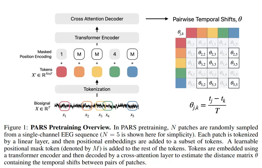 AirPods 将变“读心”设备:苹果 AI 新研究暗示未来耳机可读取脑电波