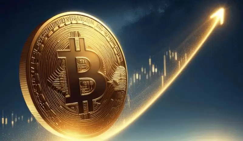 六月有哪些需要关注的暴涨币