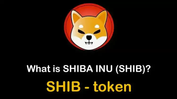 柴犬币(shib币)是什么?从迷因到奇迹,柴犬币如何征服加密世界?