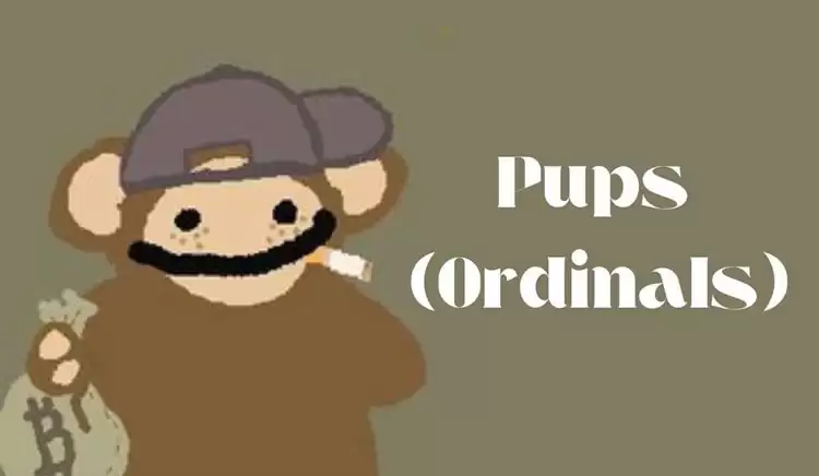 PUPS(Ordinals)币是什么？首个比特币符文迷因币,未来如何？
