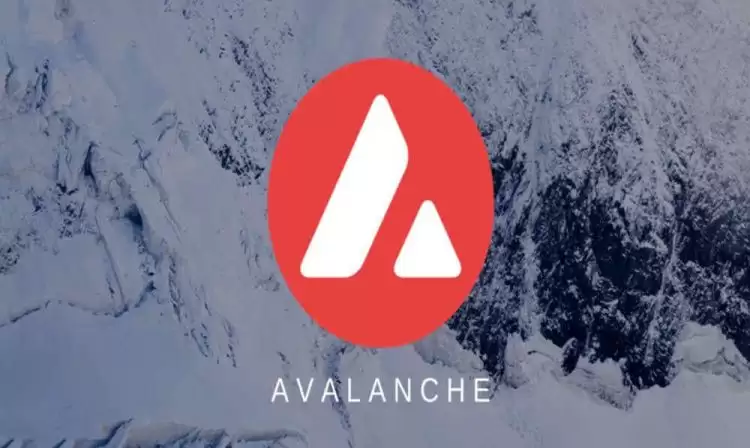 雪崩币是山寨币吗?AVAX币/雪崩币有投资价值吗?