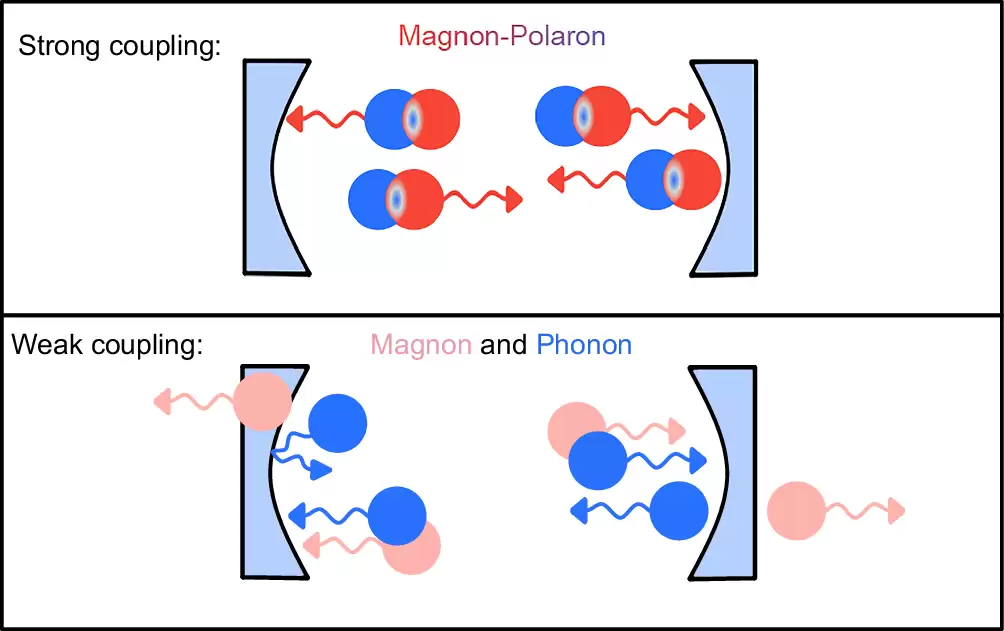 6G 网络关键突破：“混血”波将重铸通信底层逻辑