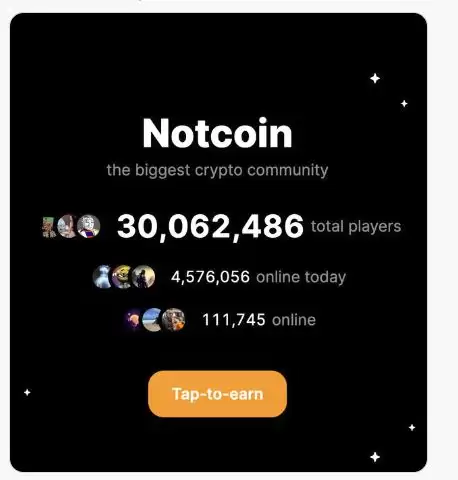 Notcoin(TON)币适合长期持有吗?TON近期趋势分析