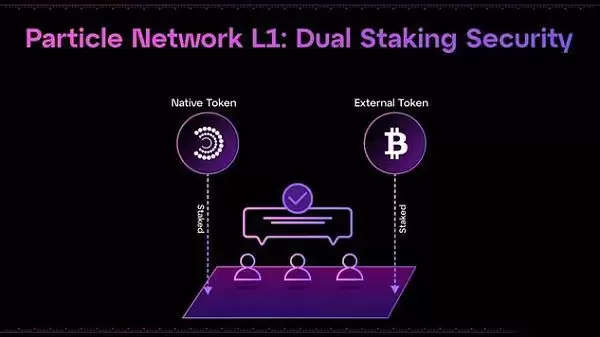 Particle Network是什么?一文看懂链抽象项目Particle Network