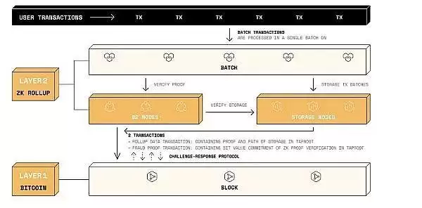 BTC生态潜力探析