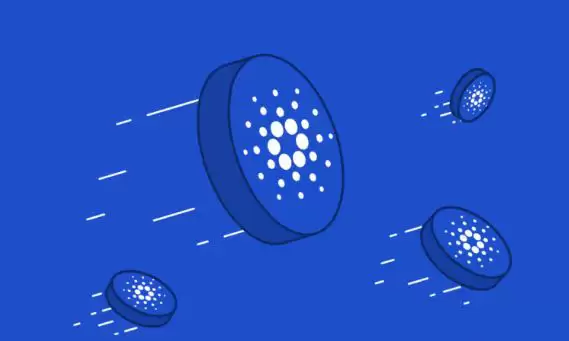 下一个牛市会暴涨的币有哪些?牛市暴涨100倍的6种加密货币分析