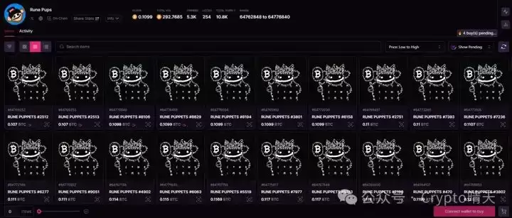 Rune Pups项目介绍