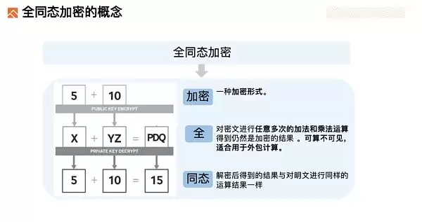 深度解析FHE(全同态加密)赛道