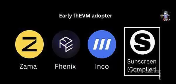 FHE全同态加密是什么?FHE生态项目盘点
