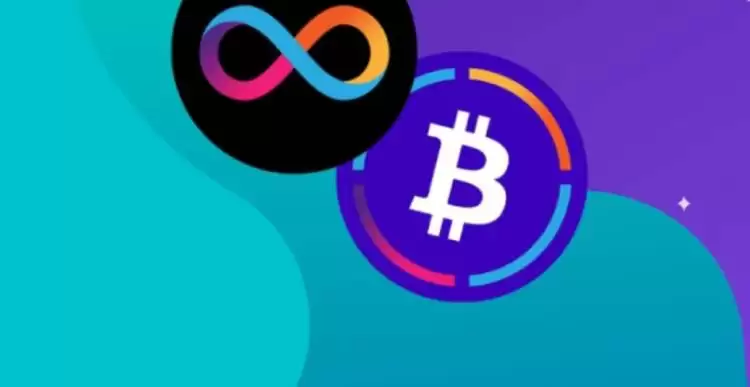 ICP和DOT币哪个潜力大？ICP和DOT币区别是什么？