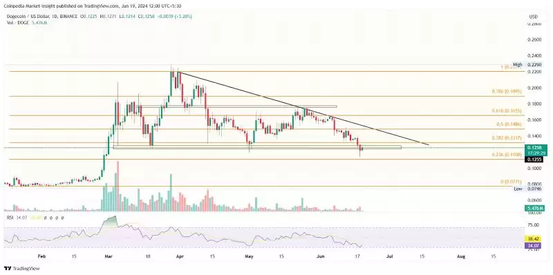 Meme币的激增会带动DOGE和SHIB上涨吗