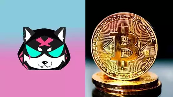 Milo币是哪个国家发行的？Milo币值得长期持有吗