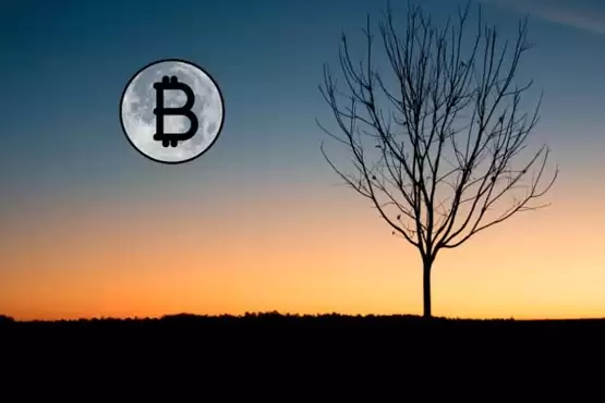 渣打、Matrixport:以太坊现货ETF批准加持 比特币几天内创新高