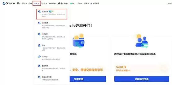 迷因币LADYS币是什么?怎么买?未来如何?