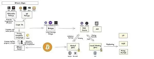 BTC生态潜力探析