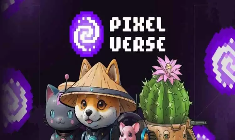 Telegram游戏Pixeltap是什么？怎么玩？如何埋伏Pixeltap空投？