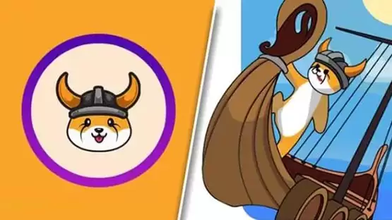 FLOKI币未来价值2025年？FLOKI币在哪个交易所