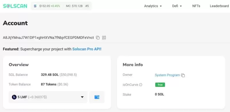 探索十大Meme币高手的wallet地址及其投资战果