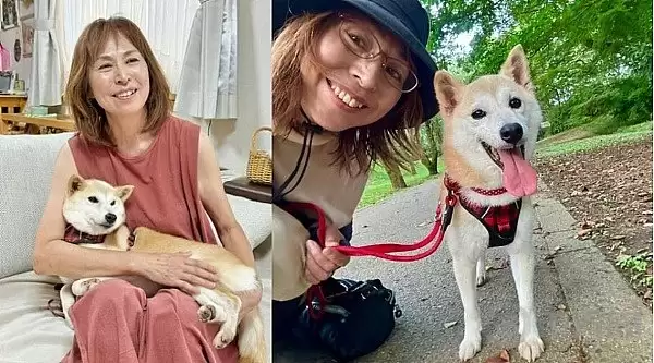 Neiro是什么币？复盘Neiro新币两天市值近五千万美元