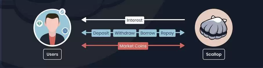Scallop (SCA) 币是什么？SCA价格走势分析及未来预测