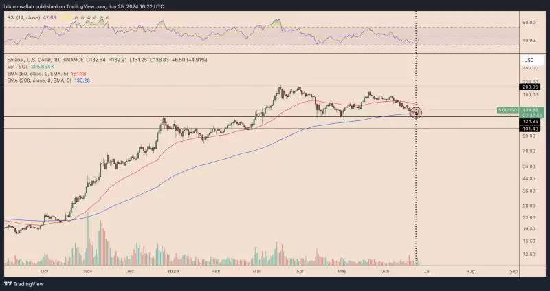 为什么Solana(SOL)价格今天突然上涨?详解SOL价格上涨原因