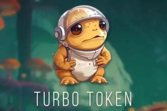 TURBO币交易平台选择与未来价值评估