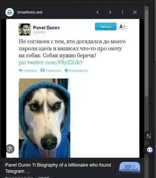 迅速走红的黑白狗DOGS是什么?一文详解DOGS币