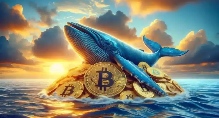 比特币六万保卫战!14年矿工出售BTC获利超100万倍