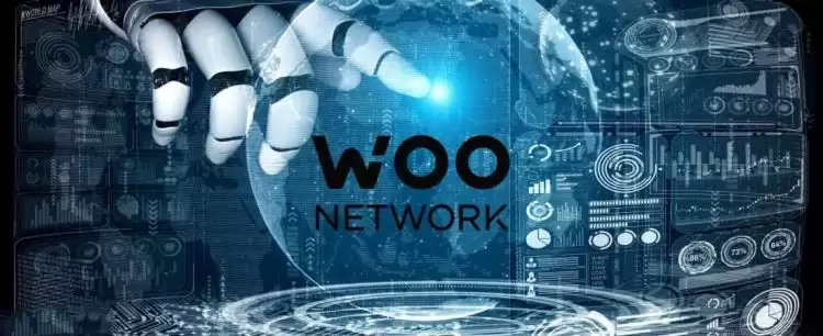 WOO币发行量和流通量是多少？WOO币发行量和流通量介绍