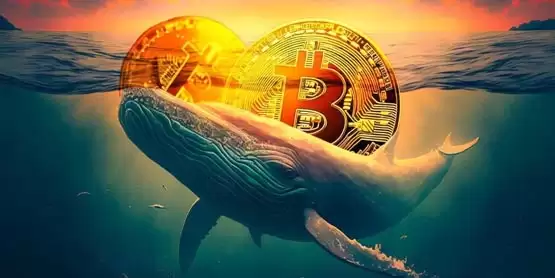 逢低买进!大户巨鲸7月狂购8.4万枚比特币 价值54亿美元