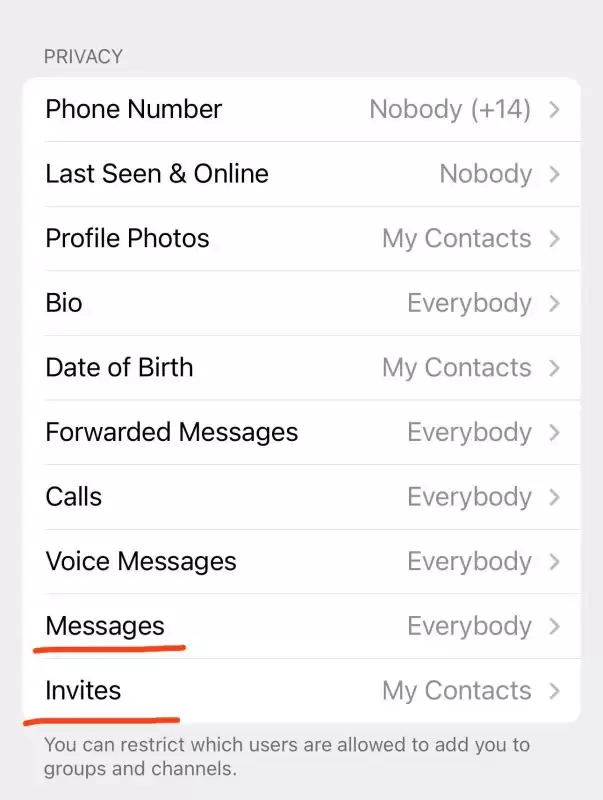 Telegram安全防盗终极指南 附Telegram安全设置终极方法