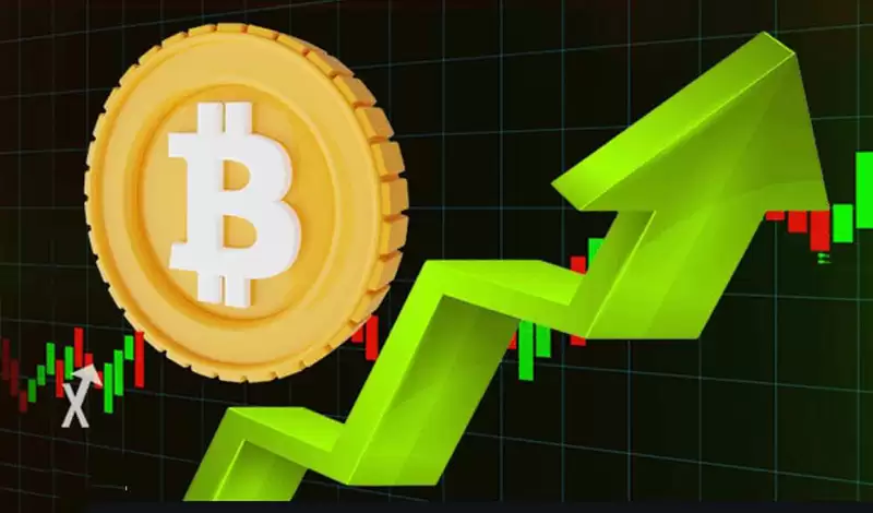 数字货币合约交易术语 虚拟币合约交易新手攻略