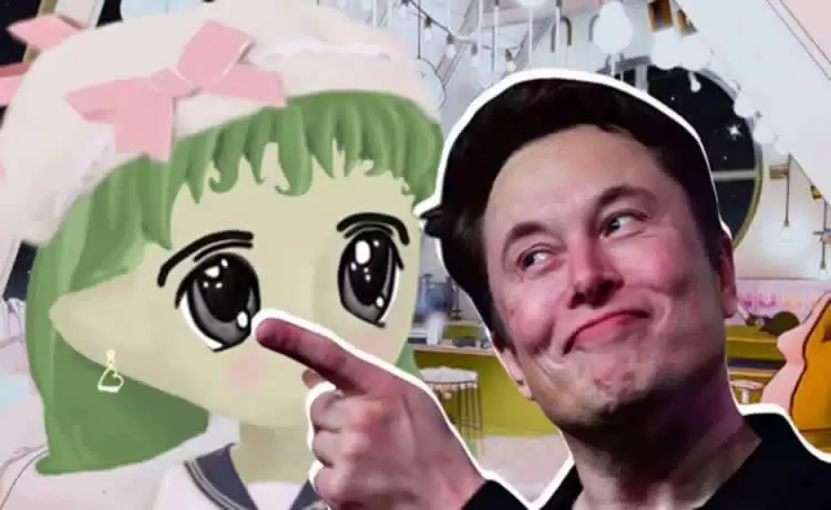 迷因币LADYS币是什么?怎么买?未来如何?