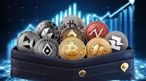 这轮牛市山寨币怎么了?探究牛市中山寨币暴跌的背后原因