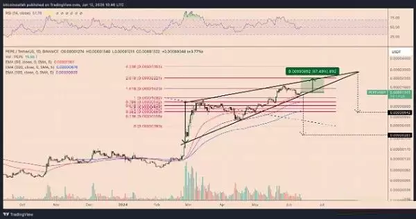 PEPE币技术分析图