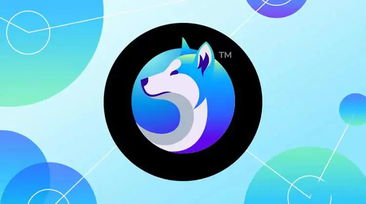 什么是秋田犬币(AKITA)?