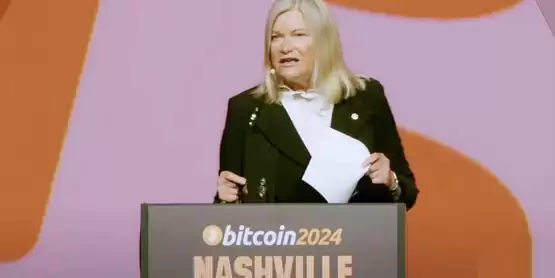 美国参议员Cynthia Lummis提桉:让美国买下100万枚比特币