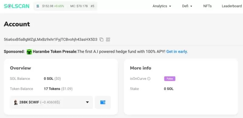 探索十大Meme币高手的wallet地址及其投资战果