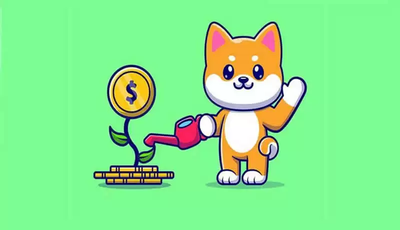 2025-2030年SHIB币价格走势预测:2025年柴犬币价格会上涨吗?