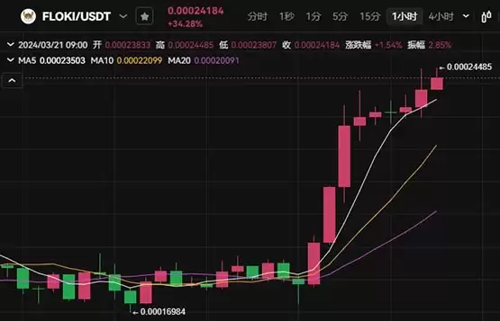 FLOKI币未来价值2025年？FLOKI币在哪个交易所