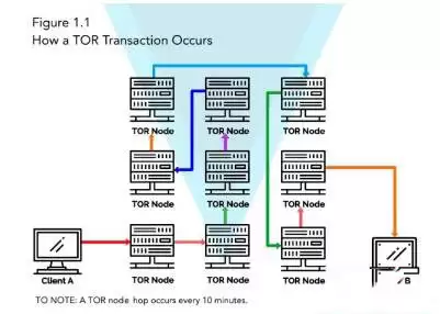 XVG(Verge)是什么币?XVG币价格走势分析及未来预测
