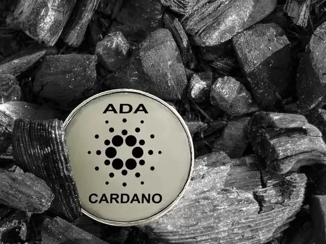ADA能否涨到2美元？Cardano六月价格预测