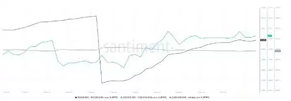 PEPE币供应分布图
